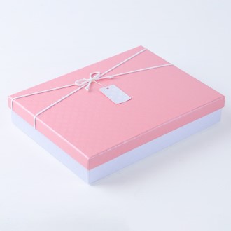 �α�ڽ� ����Ʈ���� ���� �ιٸ� �����ڽ� ���̹ڽ� ��ũ/ȭ��Ʈ 28x21x5(���� 28~35cm)