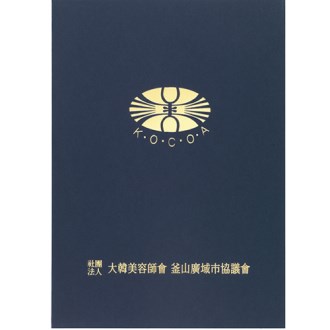 �����̵����� ���̽����